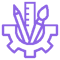 diseños diseños